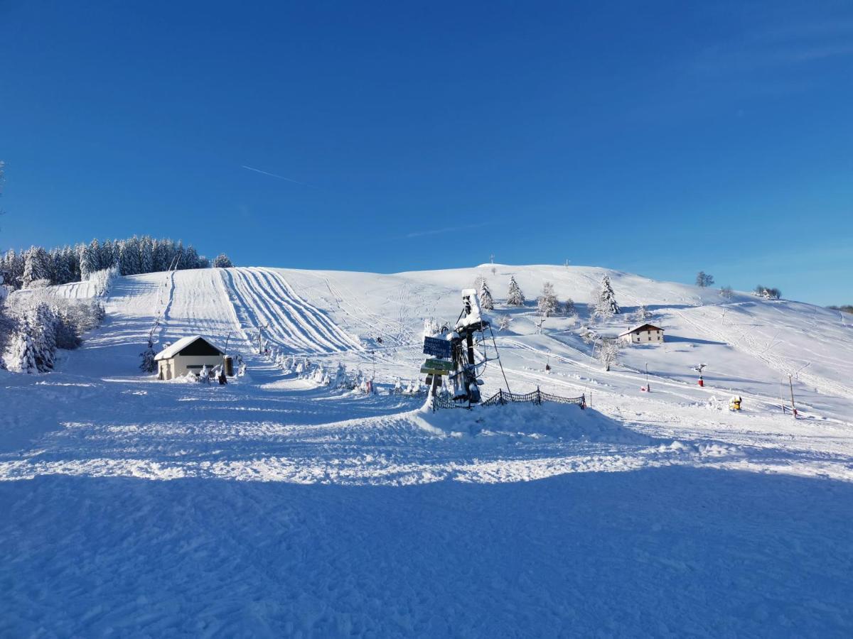 Le chalet du Brabant à 200 mètres des pistes La Bresse Extérieur photo
